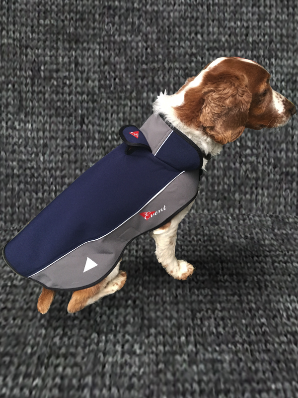 Dog Coat